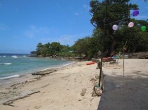 Tara Beach